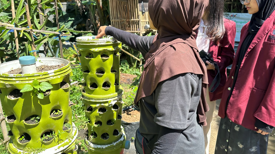 Dukung Urban Farming, DKV Telkom University Hibahkan Desain Kemasan Inovatif untuk Produk Buruan SAE D’Lima Dukung Urban Farming, DKV Telkom University Hibahkan Desain Kemasan Inovatif untuk Produk Buruan SAE D’Lima